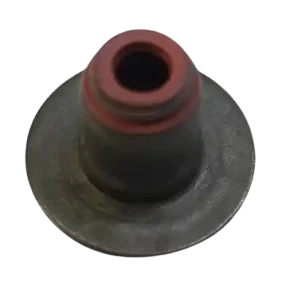 Uszczelniacz zaworowy BRP 420630202 Darmowa dostawa