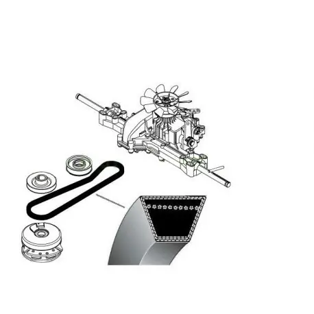 Ekspresowa dostawa Pasek klinowy A990la jazdy Etesia Bahia