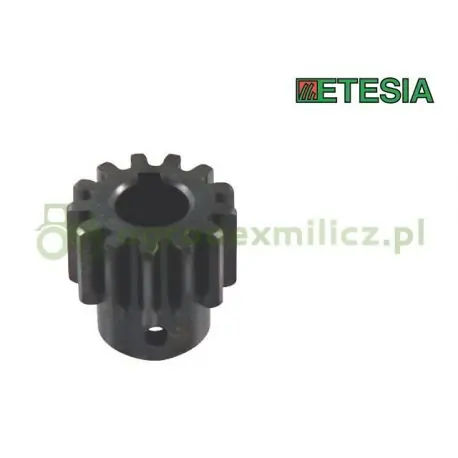 Zębatka układu kierowniczego Etesia H100 Darmowa dostawa