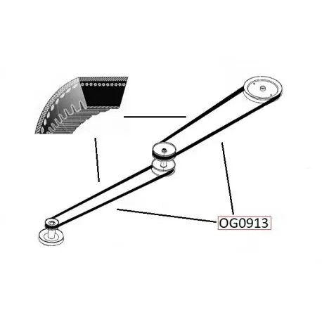 Pasek klinowy 0,8"X45,25'Li DinoAPR Zamów dziś