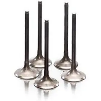 Tylko do końca tygodnia Zawór wydechowy Honda CRF250R 04-08 CRF250X 04-13 28.1334-1