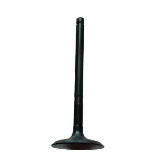 Zawór ssący Kawasaki KLX140 KLX150 12004-0049 Wybór klientów